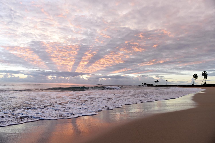 Destination Spotlight: Weddings in the Dominican Republic