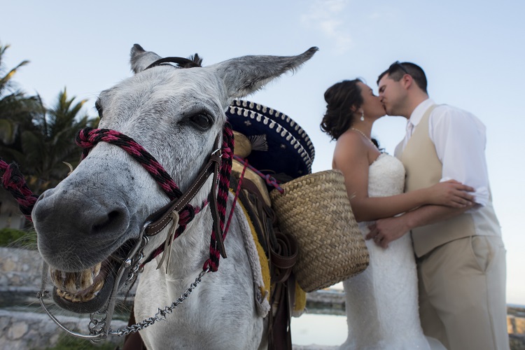 Mexico Destination Wedding