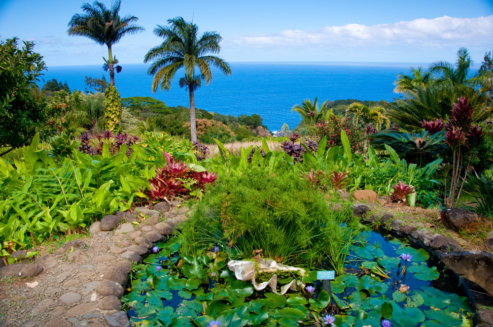 hawaii destination wedding