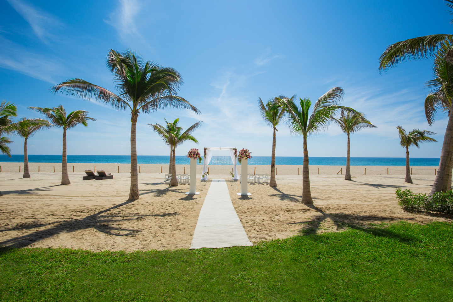 Hyatt Ziva Los Cabos beach wedding