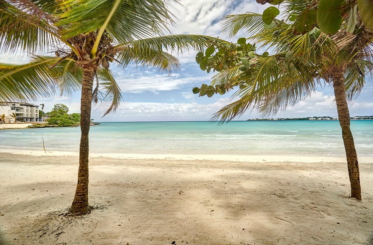 beach at Royalton Negril