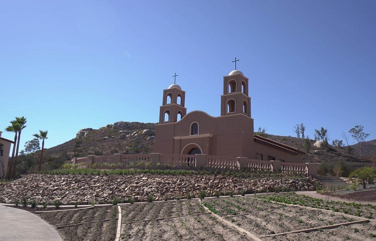 Ensenada winery wedding