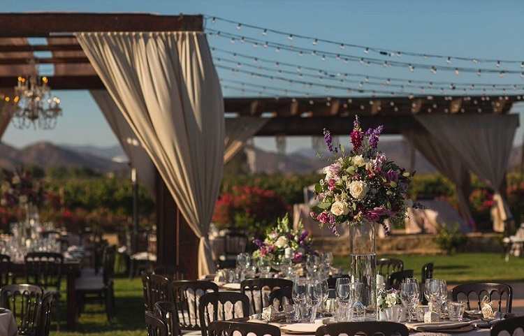 Ensenada winery wedding