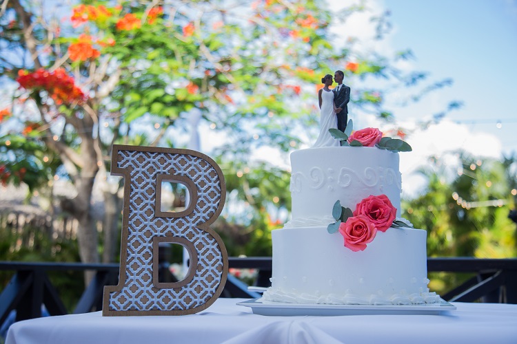 Punta Cana Destination Wedding 