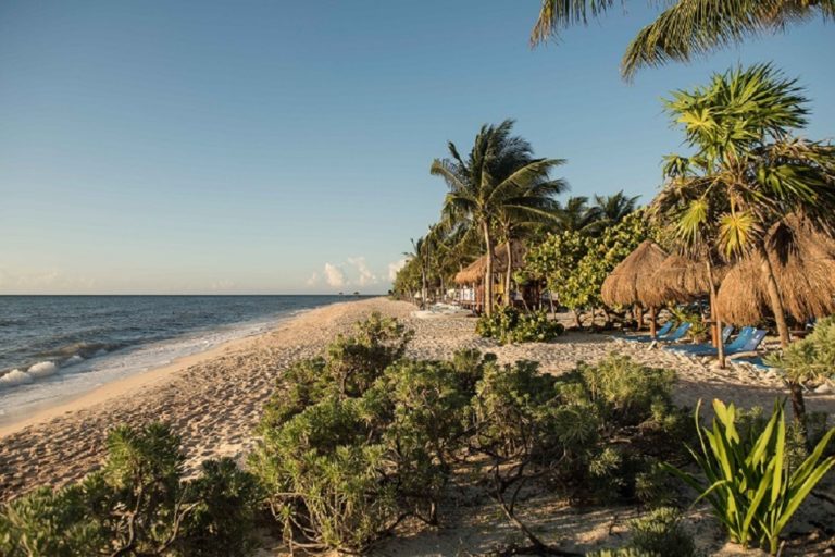 Destination Weddings at the Grand Sunset Princess