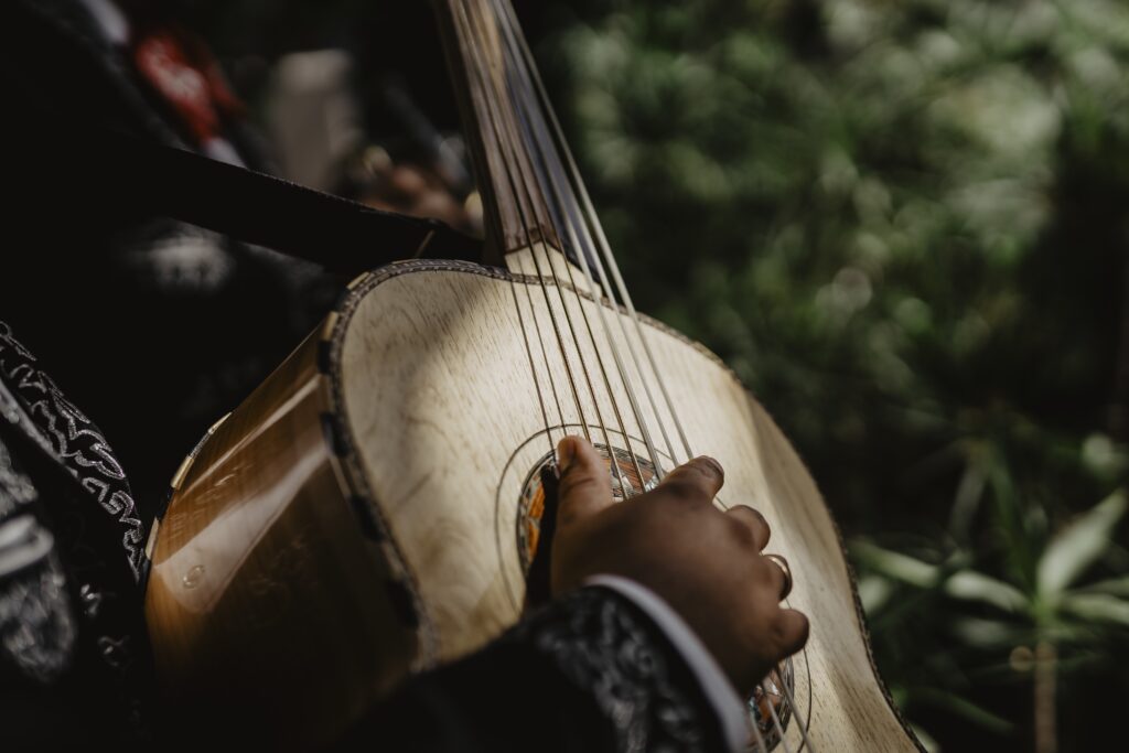 Mariachi player