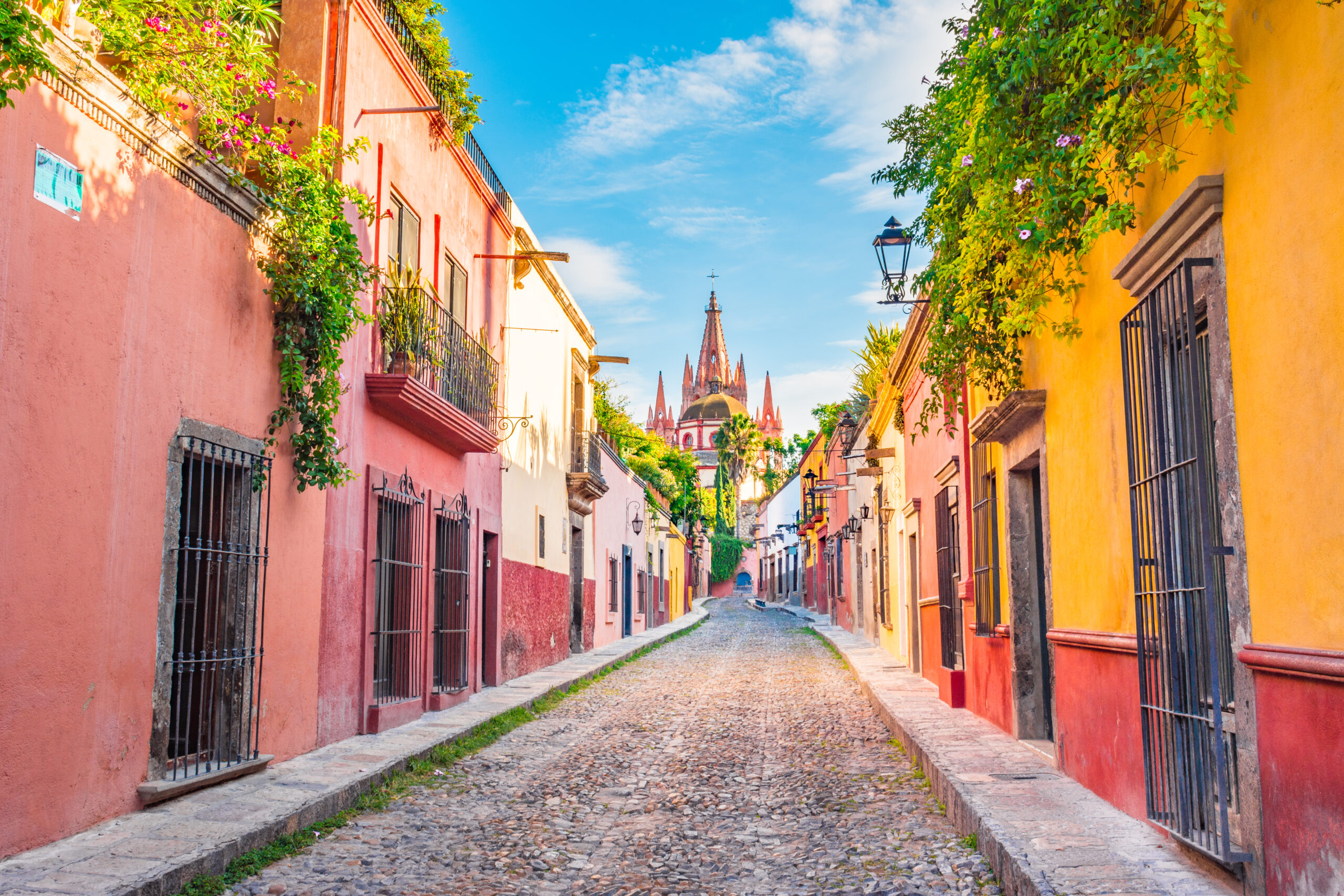 San Miguel de Allende proposal