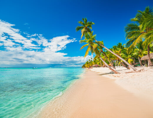 Punta Cana proposal