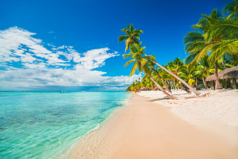 Punta Cana proposal