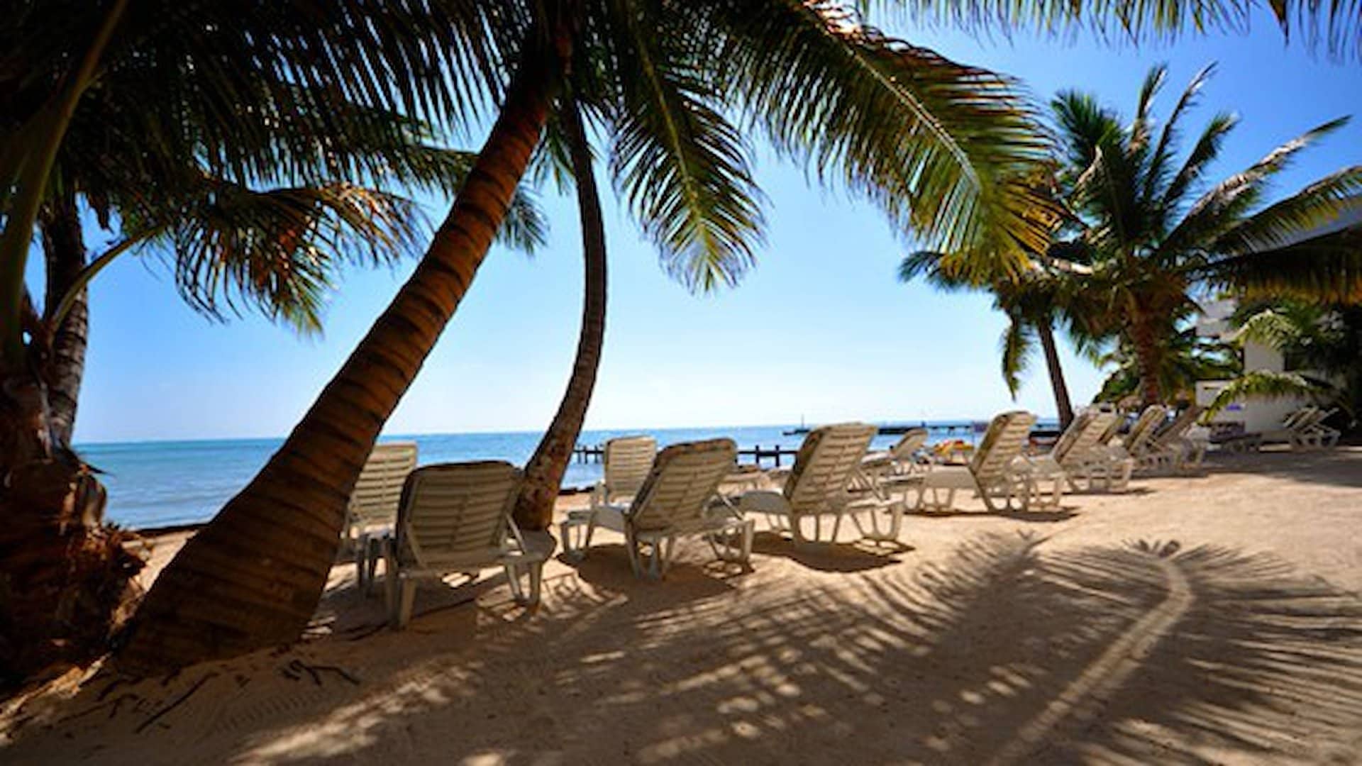 Bananas on the Beach Belize