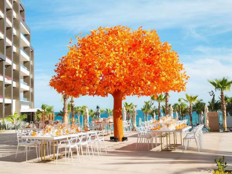 Best Luxury Destination Wedding Venues in Los Cabos