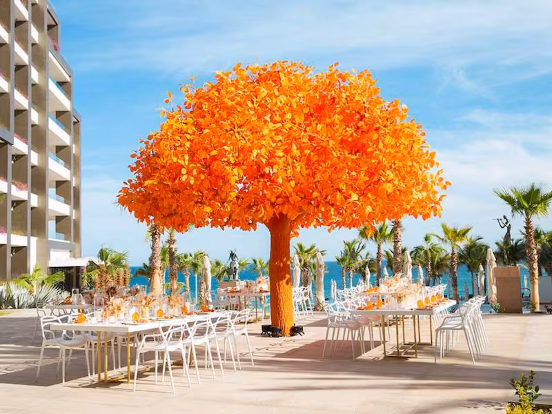 Garza Blanca Los Cabos