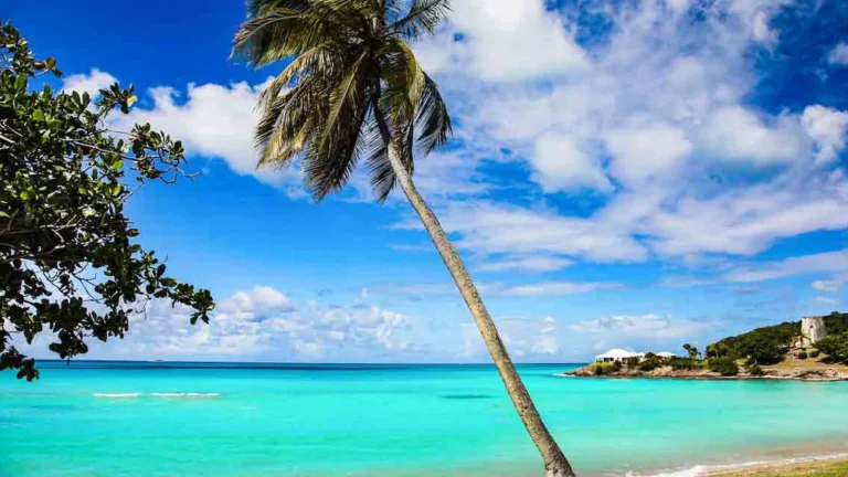 Top Affordable Destination Wedding Venues in Antigua