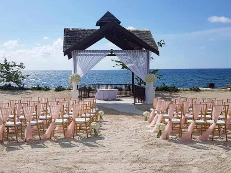 Secrets Wild Orchid