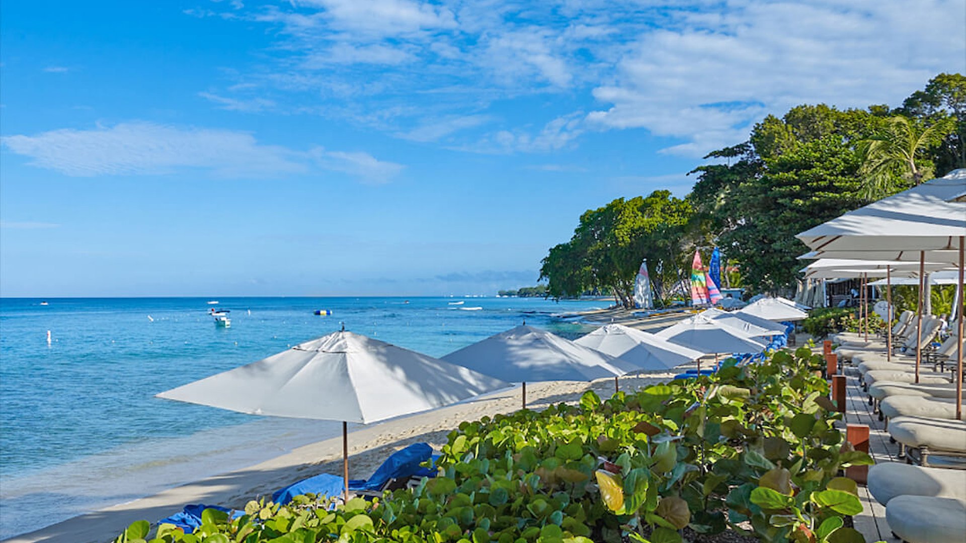 The House Barbados Autograph Collection