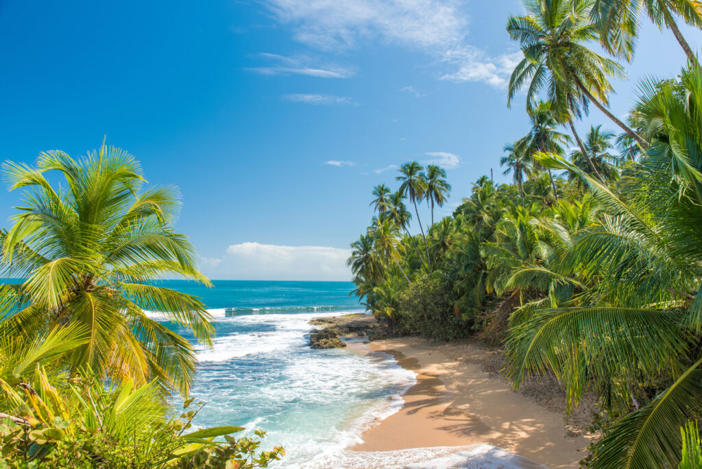 Costa Rica Wedding