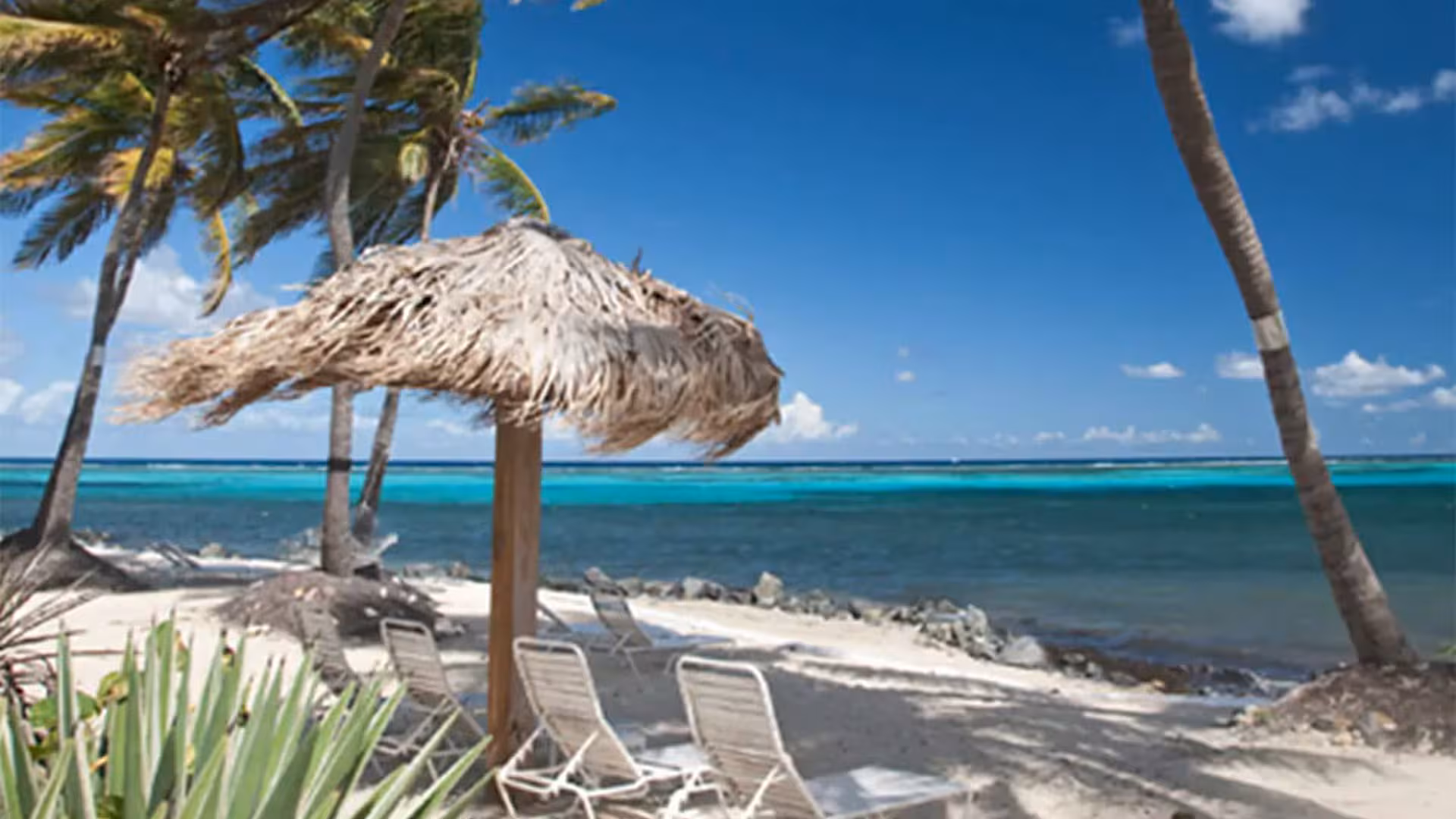 Colony Cove Beach Resort