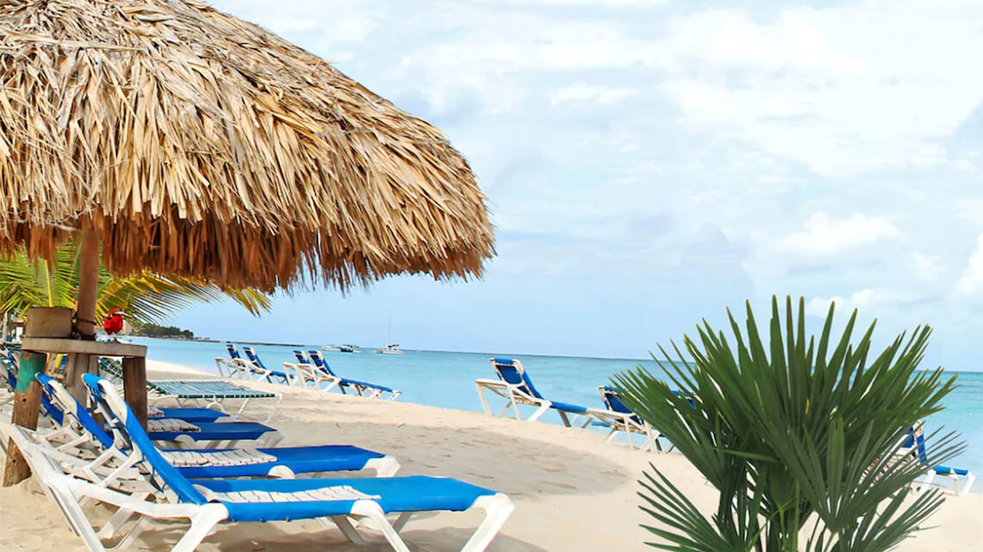 Brickell Bay Beach Club Aruba adults only