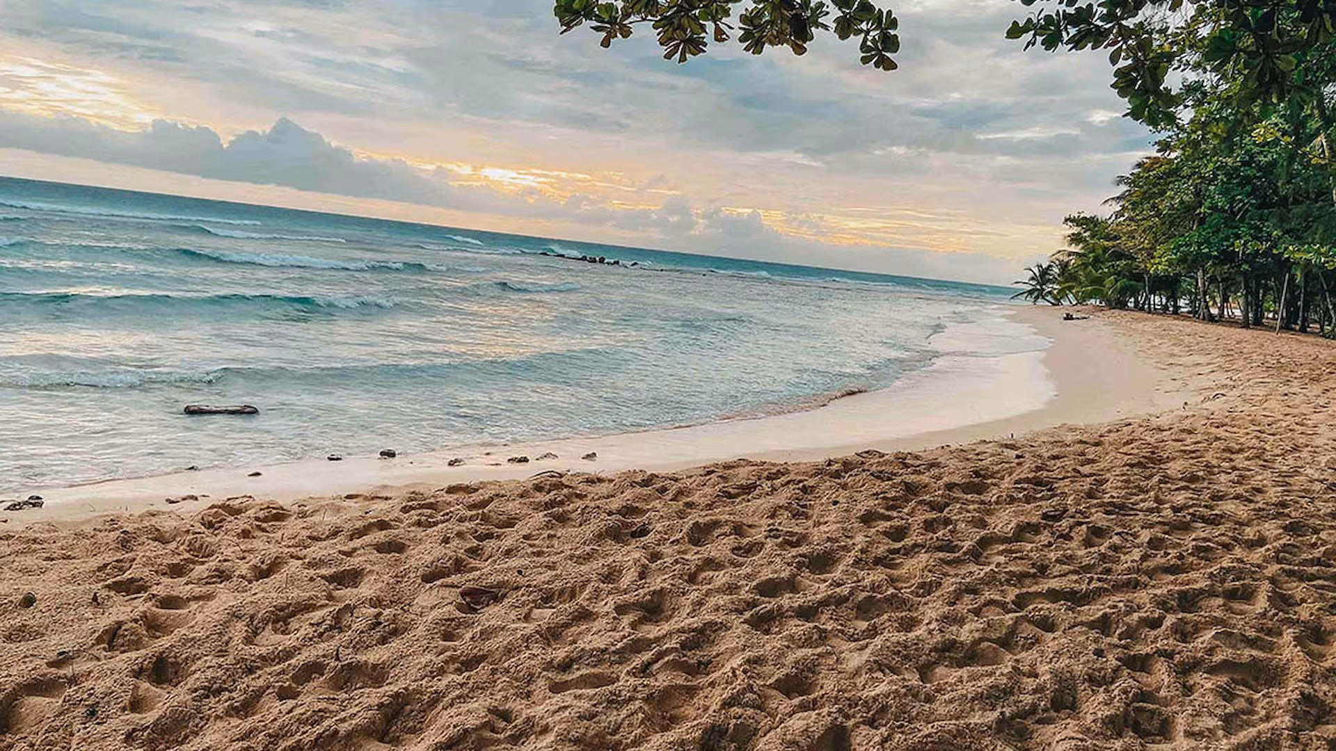 Savannah Beach Club Barbados affordable