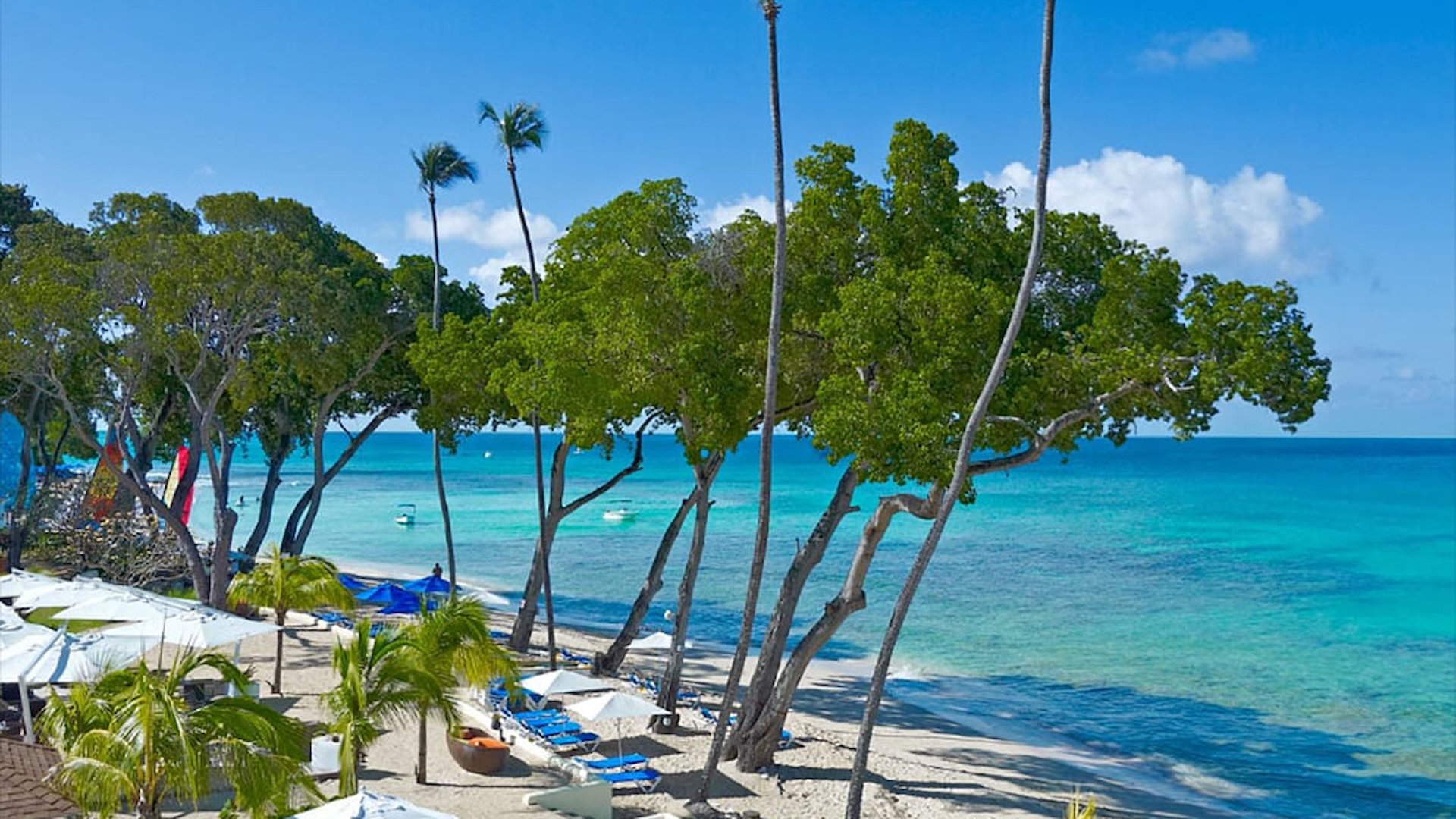 Tamarind Resort Barbados Autograph Collection family friendly