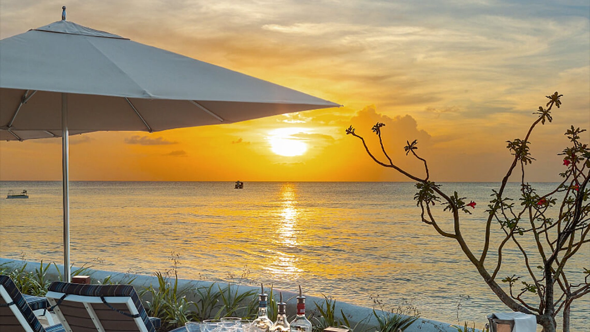 Treasure Beach Art Hotel Barbados Autograph Collection adults only