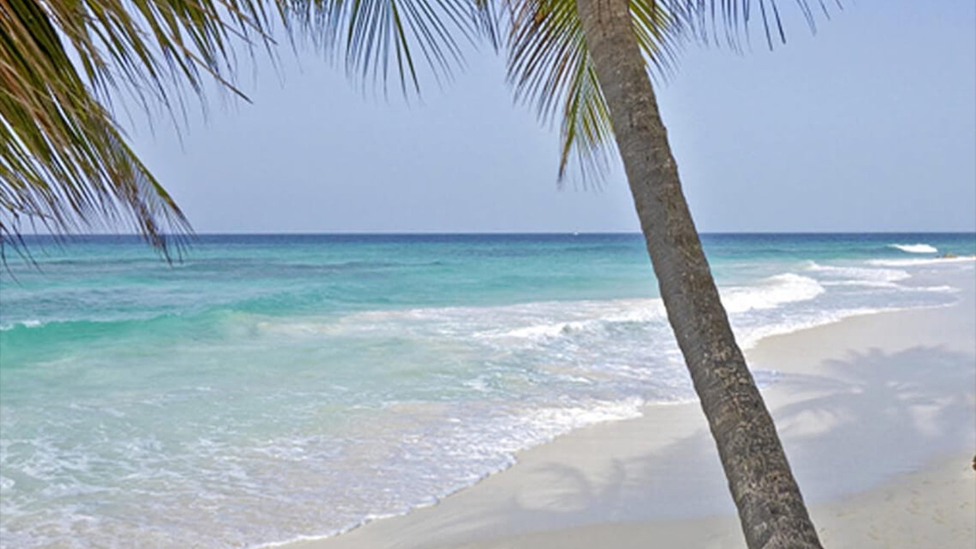 Turtle Beach Barbados Tribute Portfolio family friendly