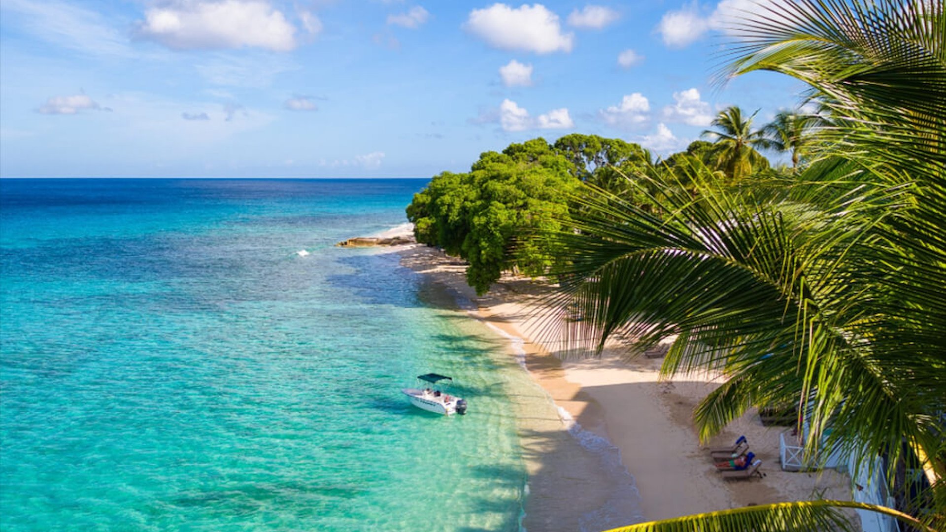 Waves Resort and Spa Barbados Autograph Collection all-inclusive