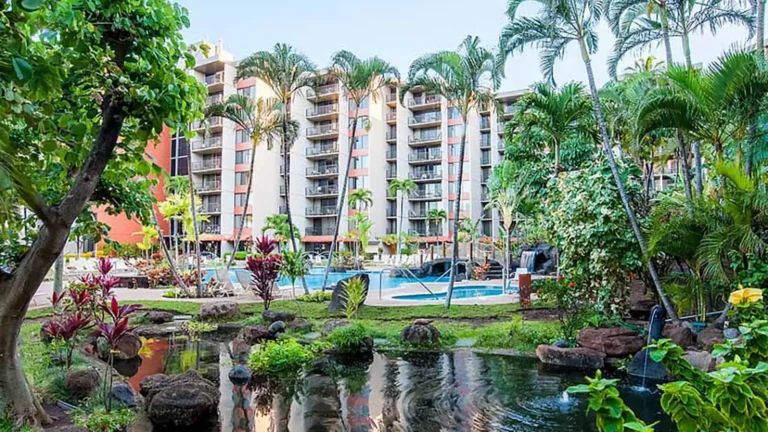 Best Affordable Destination Wedding Venues in Maui