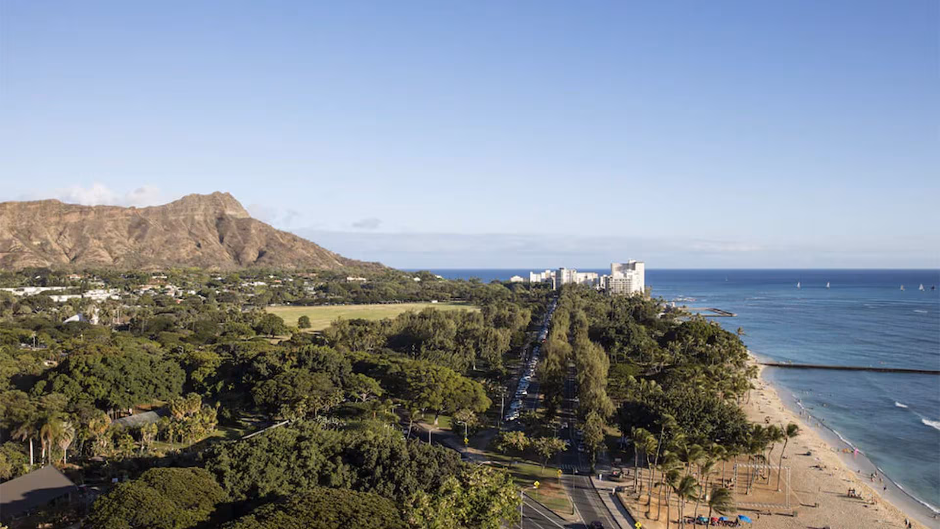 Lotus Honolulu at Diamond Head