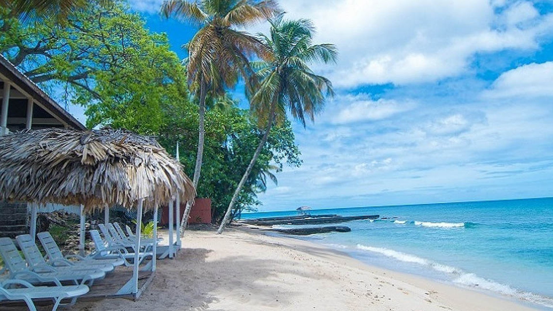 Starfish Resort Tobago